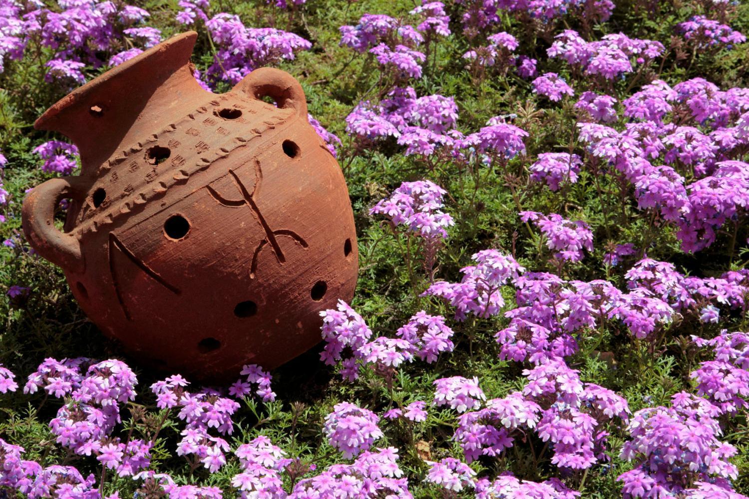 ホテル Terres D'Amanar タハナウト エクステリア 写真