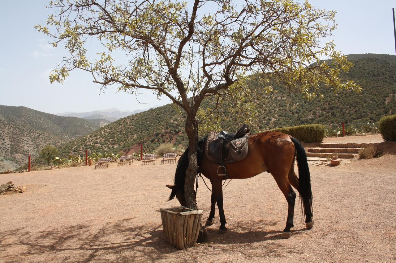ホテル Terres D'Amanar タハナウト エクステリア 写真