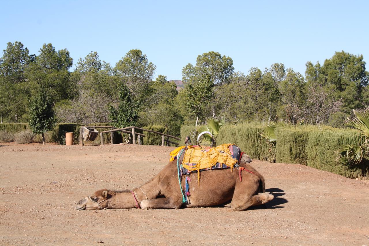 ホテル Terres D'Amanar タハナウト エクステリア 写真